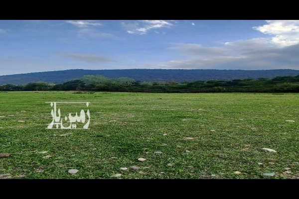 فروش زمین ۳۰۰ متر چالوس انتهای آزادراه تهران-1
