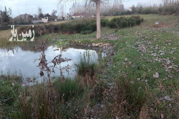 زمین با موقعیت مسکونی ۷۳۰ متر روستای لاکسار-4