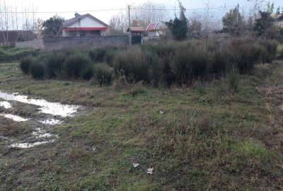 زمین با موقعیت مسکونی ۷۳۰ متر روستای لاکسار