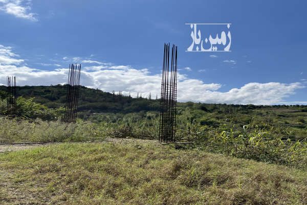 زمین ۲۰۰ متر دارای پروانه ساخت و درخت میوه ویوی عالی-1