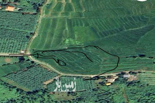 زمین مزروعی کنار خیابان ۵۴۷۵ متر لیسار هره دشت جنوبی-1