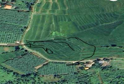 زمین مزروعی کنار خیابان ۵۴۷۵ متر لیسار هره دشت جنوبی