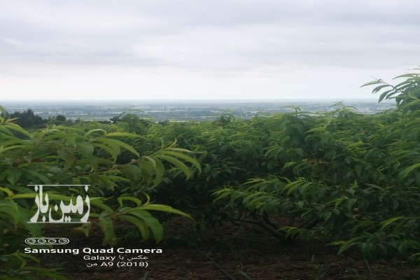 فروش زمین کشاورزی با ویوی عالی ۴۰۰۰ متر-1