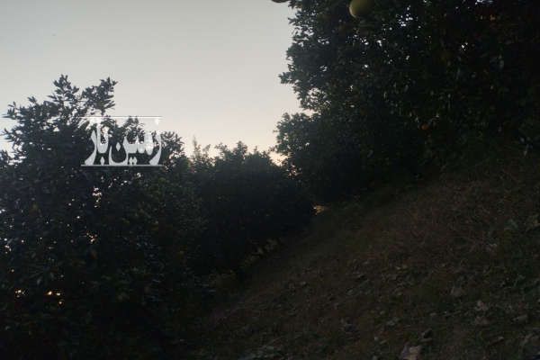 فروش زمین ۶۰۰ متر روستای صاحبی-1