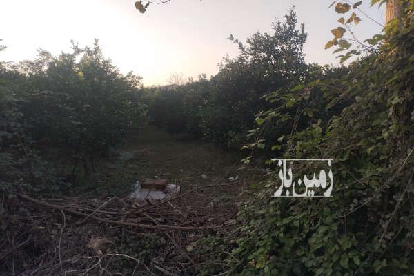 فروش زمین ۶۰۰ متر روستای صاحبی-4