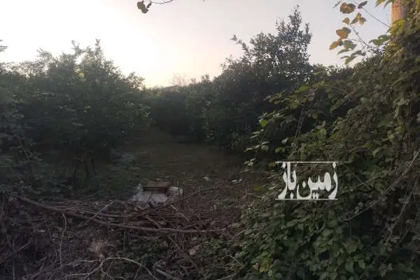 فروش زمین ۶۰۰ متر روستای صاحبی - تصویر 3