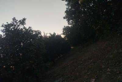فروش زمین ۶۰۰ متر روستای صاحبی