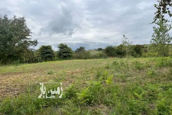 فروش زمین در روستای باصفا امره ۶۲۰۰ متر - تصویر 2