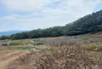 زمین ۶۰۰ متری مرزن اباد روستای پردنگون