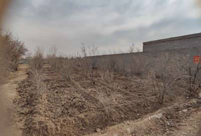 زمین باغ ویلاشهر به طرف نجف آباد ۷۱۰ متر