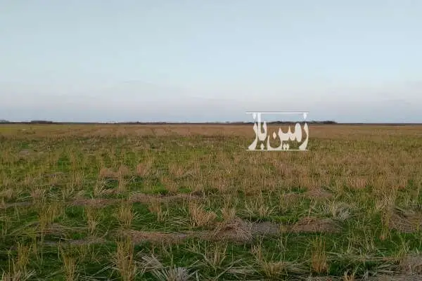 زمین کشاورزی برنج کاری ۳۰۰۰ متر در روستای دستک - تصویر 4