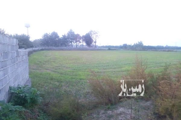 زمین ۳۲۰۰ متر شخصی چمستان افراده-1