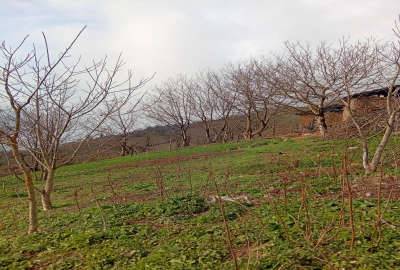 زمین در جاده مریان روستای کسمجان وندشت ۱۰۰۰ متر