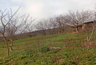 زمین در جاده مریان روستای کسمجان وندشت ۱۰۰۰ متر