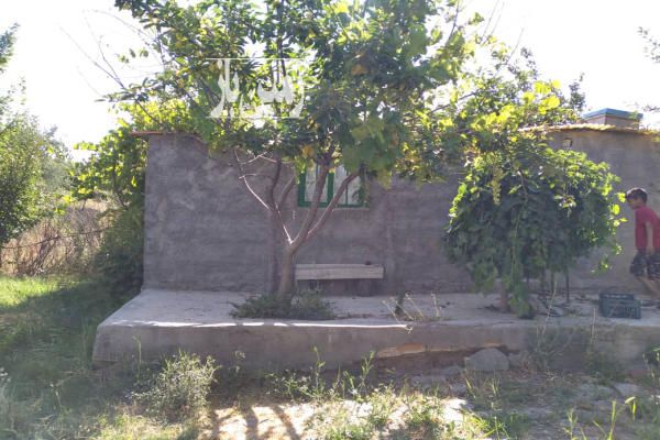 باغ ۱۳ ساله بادرختان متنوع پربار ۳۰۰۰ متر روستای قورجاق-1