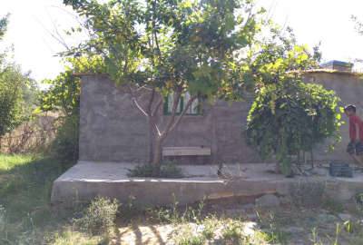 باغ ۱۳ ساله بادرختان متنوع پربار ۳۰۰۰ متر روستای قورجاق