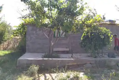 باغ ۱۳ ساله بادرختان متنوع پربار ۳۰۰۰ متر روستای قورجاق