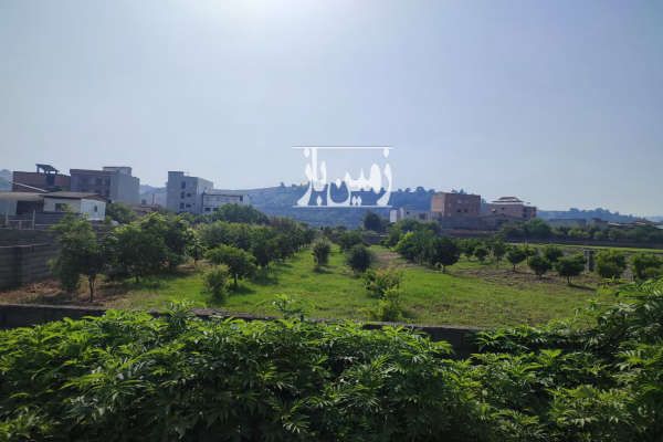 زمین در نکا روستای زرندین سفلی ۷۱۵ متر-2