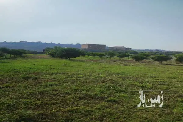 زمین در نکا روستای زرندین سفلی ۷۱۵ متر - تصویر 2