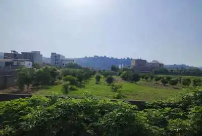 زمین در نکا روستای زرندین سفلی ۷۱۵ متر