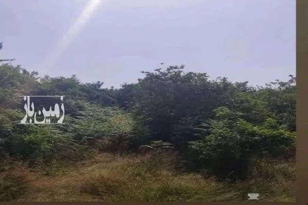 فروش زمین بابلکنار درونکلا شرقی درزی محله ۳۰۰ متر-1