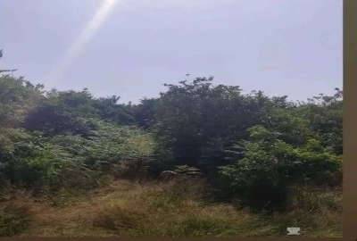 فروش زمین بابلکنار درونکلا شرقی درزی محله ۳۰۰ متر