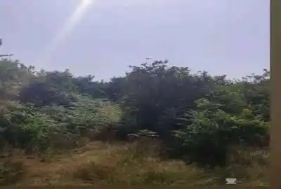 فروش زمین بابلکنار درونکلا شرقی درزی محله ۳۰۰ متر