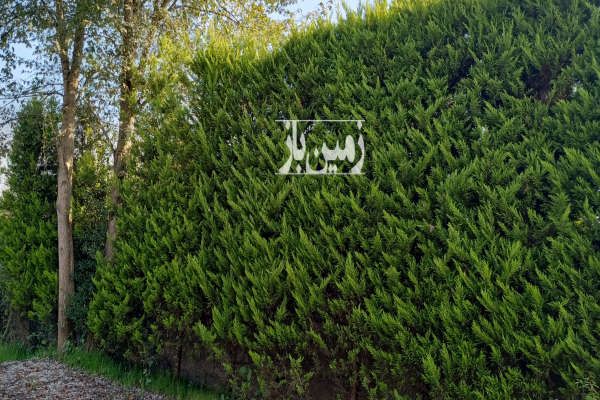 زمین ۱۸۰ متر در لنگرود چمخاله نزدیک ساحل-2