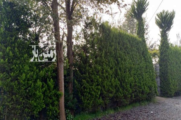 زمین ۱۸۰ متر در لنگرود چمخاله نزدیک ساحل-3