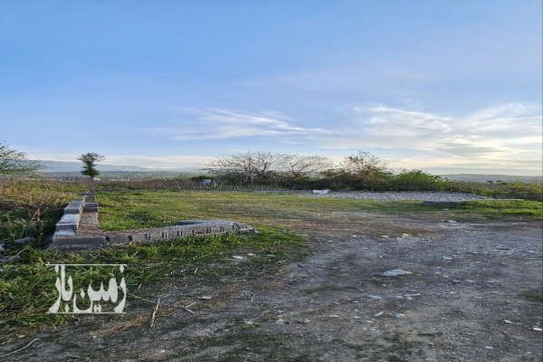 زمین در هلستان نوشهر ۲۵۰ متر-1