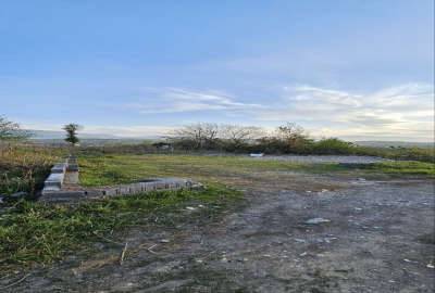 زمین در هلستان نوشهر ۲۵۰ متر