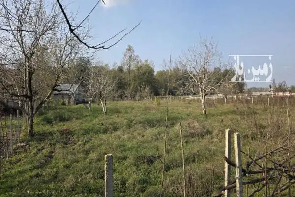 زمین مسکونی در نزدیکی رشت به مساحت ۵۰۰ متر - تصویر 4