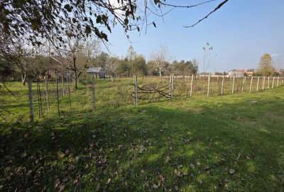 زمین مسکونی در نزدیکی رشت به مساحت ۵۰۰ متر