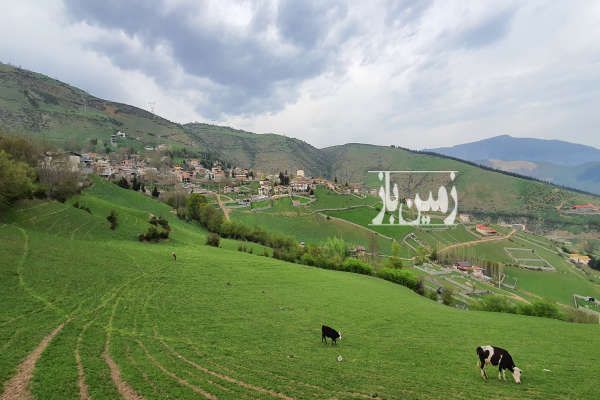 زمین ۷۱۰ متر مسکونی در حسن کیف کلاردشت-2