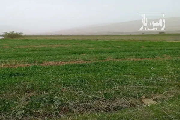 زمین کشاورزی نوشهر بین شهر پول و روستای کوهپر ۱۶۰۰۰ متر-2