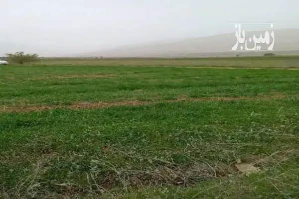 زمین کشاورزی نوشهر بین شهر پول و روستای کوهپر ۱۶۰۰۰ متر - تصویر 2