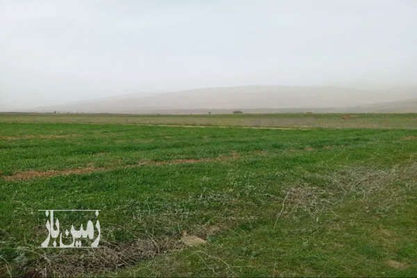 زمین کشاورزی نوشهر بین شهر پول و روستای کوهپر ۱۶۰۰۰ متر-3
