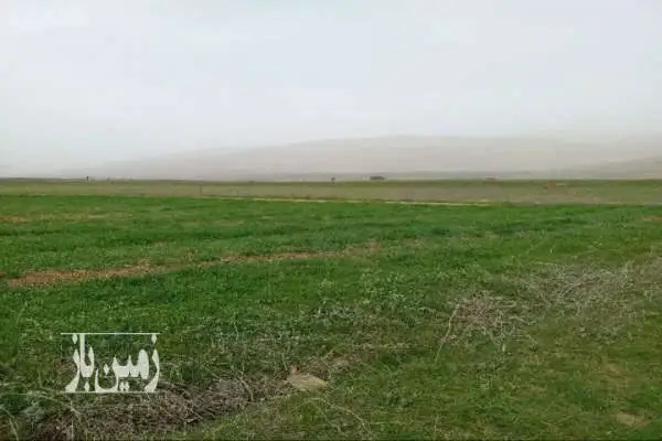 زمین کشاورزی نوشهر بین شهر پول و روستای کوهپر ۱۶۰۰۰ متر - تصویر 3