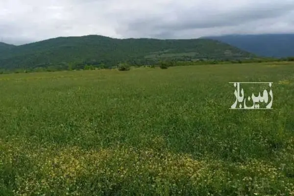 زمین کشاورزی نوشهر بین شهر پول و روستای کوهپر ۱۶۰۰۰ متر - تصویر 4