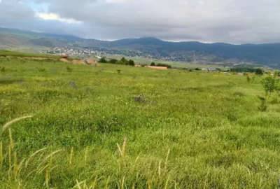 زمین کشاورزی نوشهر بین شهر پول و روستای کوهپر ۱۶۰۰۰ متر