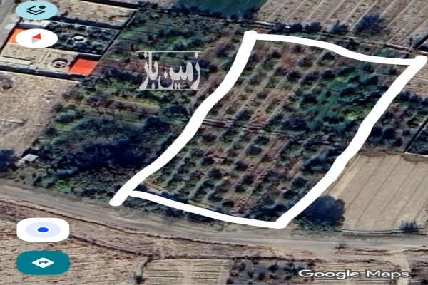 فروش ۵۰۲۴ متر زمین کشاورزی واقع در بقین باغ خسروشاه-1