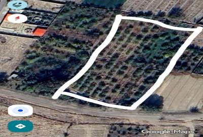 فروش ۵۰۲۴ متر زمین کشاورزی واقع در بقین باغ خسروشاه