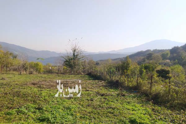 فروش زمین شهرستان رودبار رستم آباد روستای نقلبر ۶۰۰ متر-1