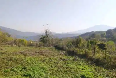 فروش زمین شهرستان رودبار رستم آباد روستای نقلبر ۶۰۰ متر