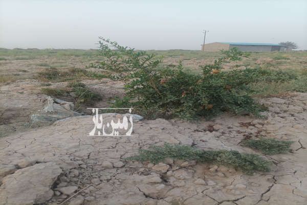 فروش زمین کشاورزی ساوه جاده قم سلفچگان ۱۷۰۰ متر-1