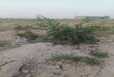 فروش زمین کشاورزی ساوه جاده قم سلفچگان ۱۷۰۰ متر