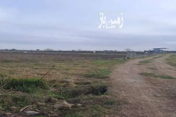 فروش یک قطعه زمین درتالش هشپر ۱۲۷۳ متر - تصویر 3
