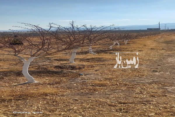 فروش زمین در کردستان قروه دیوزند ۲۹۵۴ متر-1