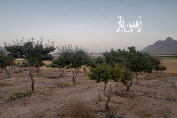 فروش باغ با درختان مثمر ۳۰۰۰ متر بن روستای شیخ شبان طرح-3