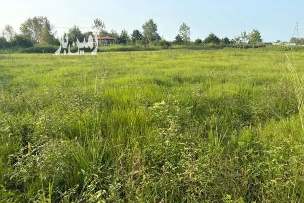 زمین کشاورزی ۳۰۰ متر در تنکابن - تصویر 2